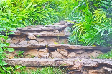 Bahçedeki merdivenler.