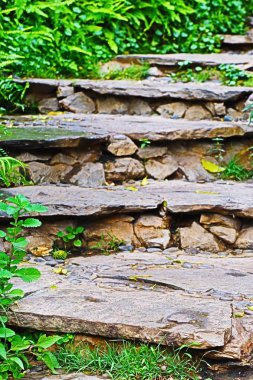 Bahçedeki merdivenler.