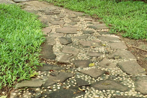 Parkta yürüyüş yolu