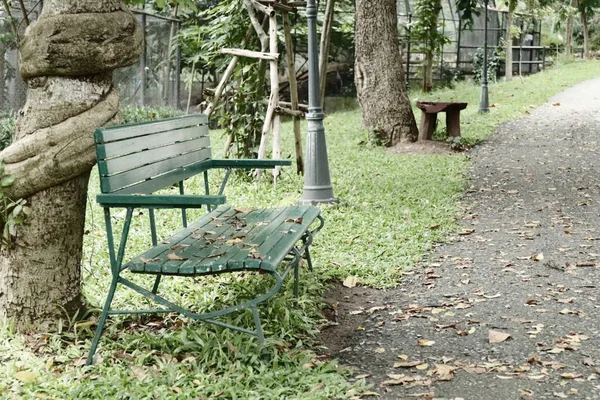 Bench in the park — Stock Photo, Image