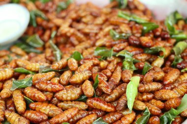 Fried böcek sokak gıda