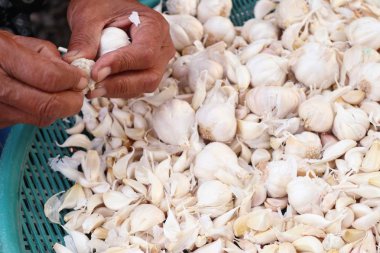 Sarımsak sokak Road