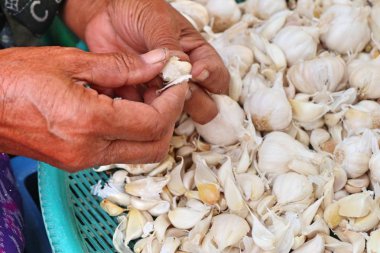 Sarımsak sokak Road