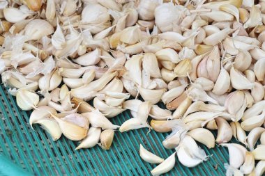 Sarımsak sokak Road