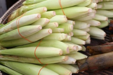 Market genç Mısır