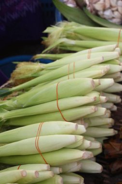 Market genç Mısır