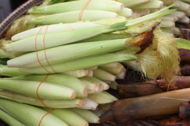 Market genç Mısır