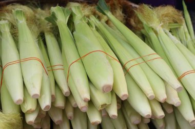 Market genç Mısır