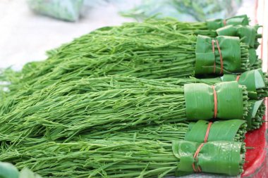 Akasya pennata Market