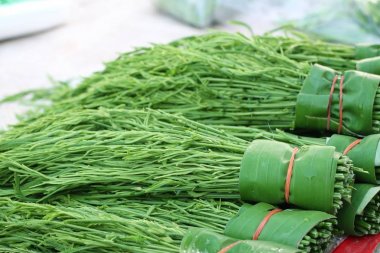 Akasya pennata Market