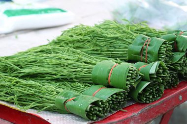 Akasya pennata Market