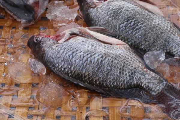 Vis op de markt — Stockfoto