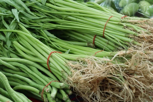 Morgenruhm auf dem Markt — Stockfoto