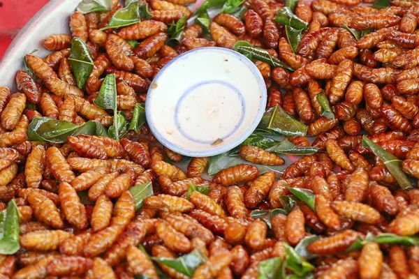 Жареные насекомые за уличной едой — стоковое фото