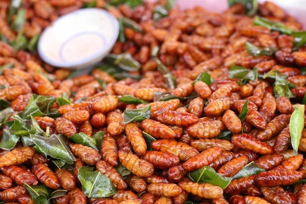 Insecto frito en la comida callejera —  Fotos de Stock