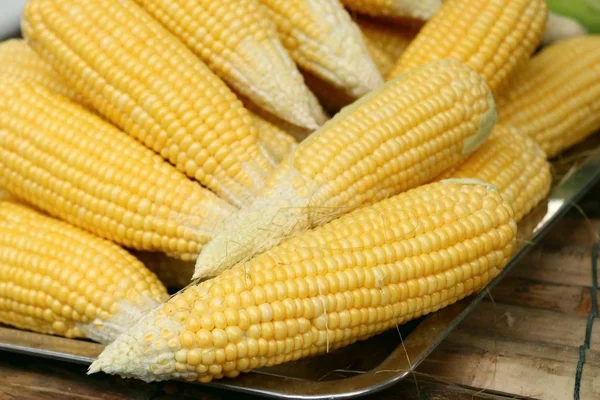 Fresh corn at market — Stock Photo, Image