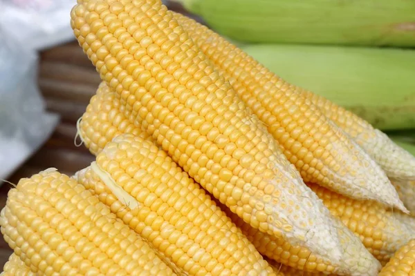 Maïs frais au marché — Photo