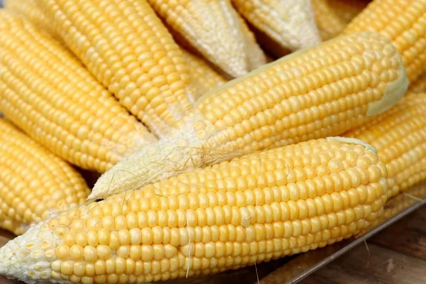 Fresh corn at market — Stock Photo, Image