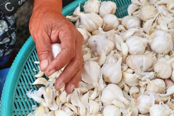 Sarımsak sokak Road