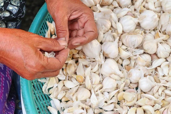 Sarımsak sokak Road