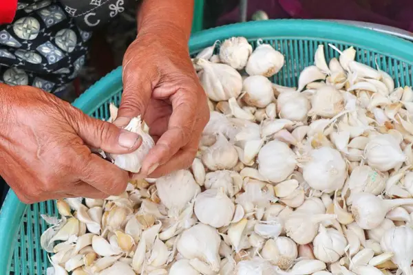 Sarımsak sokak Road