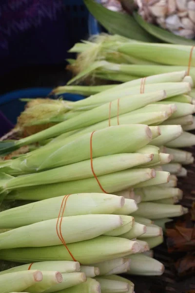 Young corn at market — Stock Photo, Image