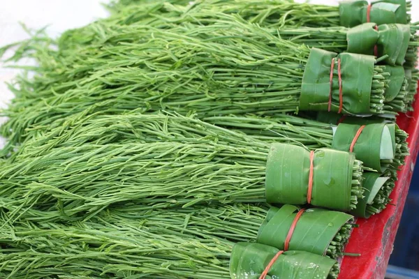 Akasya pennata Market