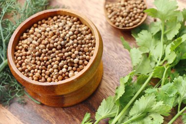 kişniş yaprakları ile tohum