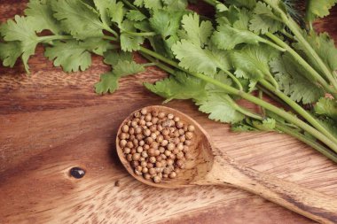 kişniş yaprakları ile tohum