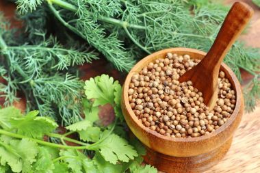 kişniş yaprakları ile tohum