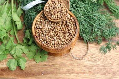 kişniş yaprakları ile tohum