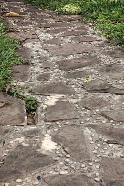 Hayvanat bahçesindeki papağan