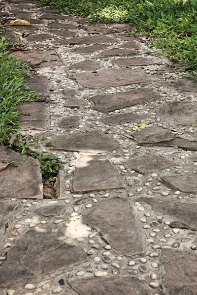 Hayvanat bahçesindeki papağan