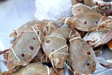 Taze Yengeç sokak gıda