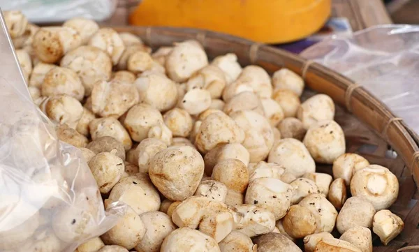 Fresh mushrooms at market — Stock Photo, Image