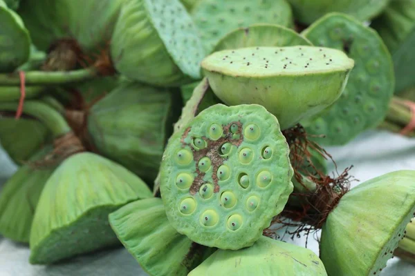 Lotus zaad op straat eten — Stockfoto