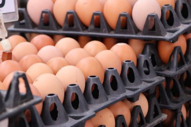 Pazardaki yumurtalar.