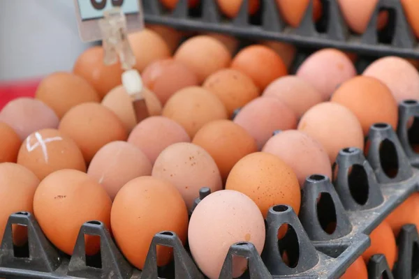 Huevos en el mercado —  Fotos de Stock