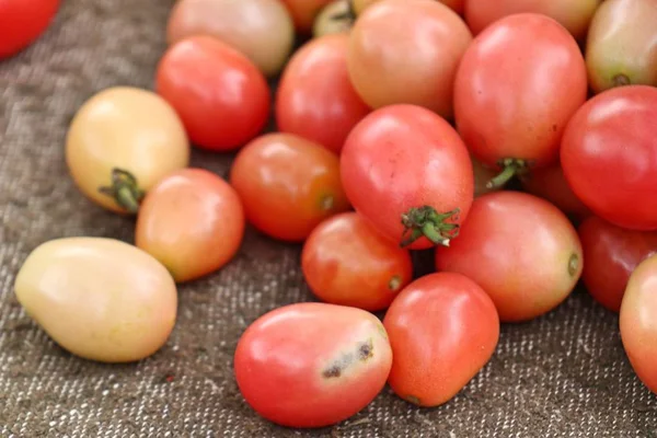 Tomatoes in the market — Stock Photo, Image