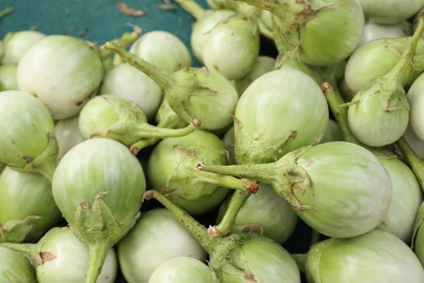 Eggplant at the market — Stock Photo, Image