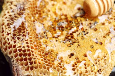 ahşap üzerinde tatlı petek