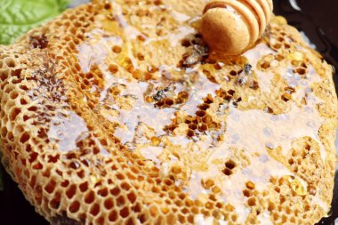 ahşap üzerinde tatlı petek