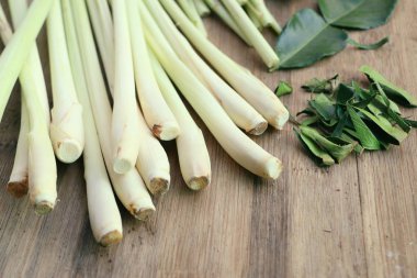 Limon otu ve Güney Afrika'da bir kabile kireç yaprakları