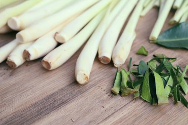 Limon otu ve Güney Afrika'da bir kabile kireç yaprakları