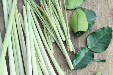 Limon otu ve Güney Afrika'da bir kabile kireç yaprakları