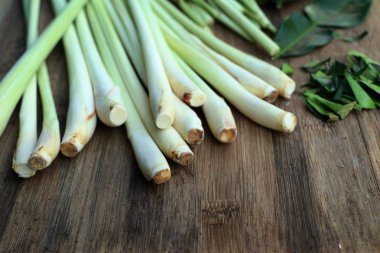 Limon otu ve Güney Afrika'da bir kabile kireç yaprakları