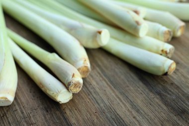 Limon otu ve Güney Afrika'da bir kabile kireç yaprakları