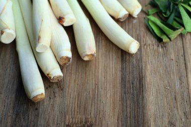 Limon otu ve Güney Afrika'da bir kabile kireç yaprakları