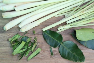 Limon otu ve Güney Afrika'da bir kabile kireç yaprakları