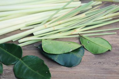 Limon otu ve Güney Afrika'da bir kabile kireç yaprakları